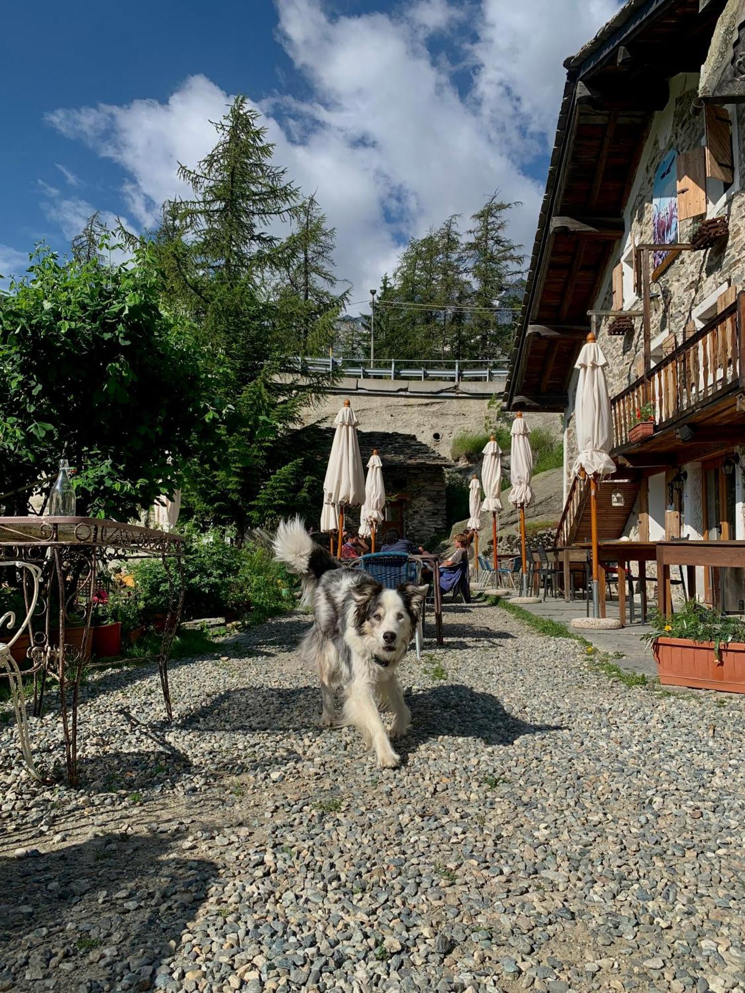 Chalet Del Lago Ceresole Reale Exterior foto